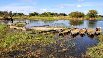 Okavango Delta - Photo 3