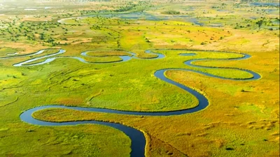 Okavango Delta - Photo 4