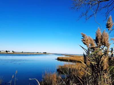 Fenwick Island - Photo 3