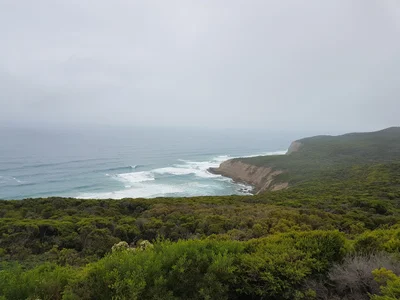Gellibrand Lower - Photo 3