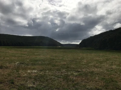 Gellibrand Lower - Photo 4