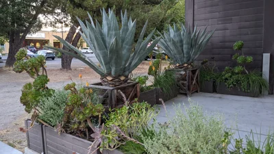 Sebastopol - Photo 2