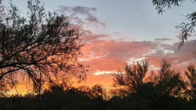 Sahuarita - Photo 5