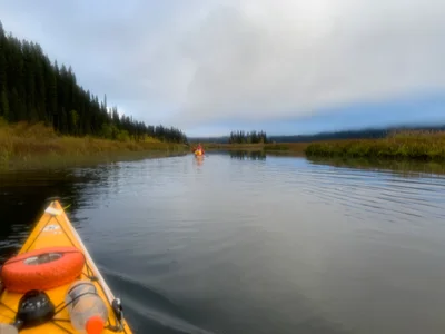 Area C (Bowron Lake/Barlow Creek/Barkerville) - Photo 2