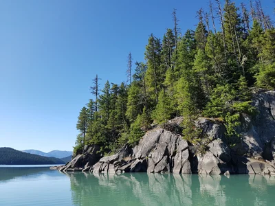 Area C (Bowron Lake/Barlow Creek/Barkerville) - Photo 3