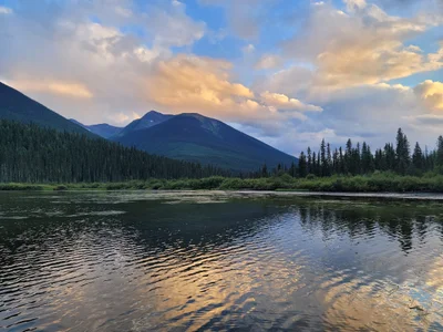 Area C (Bowron Lake/Barlow Creek/Barkerville) - Photo 5
