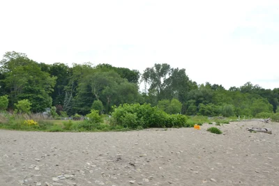 Village of Westfield - Photo 2