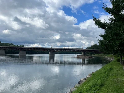 Owego - Photo 3