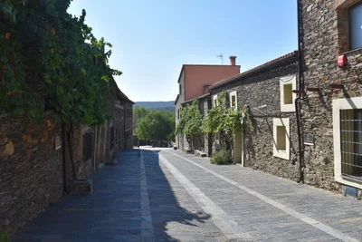 Villarreal de San Carlos - Photo 2