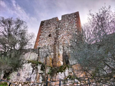 Villarreal de San Carlos - Photo 5