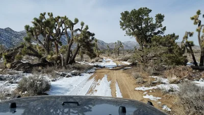 Big Bear City - Photo 3