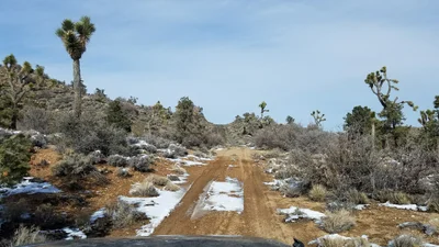 Big Bear City - Photo 5