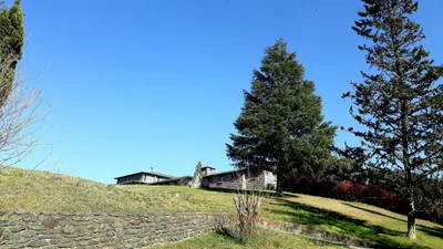 El Siambon - Photo 5