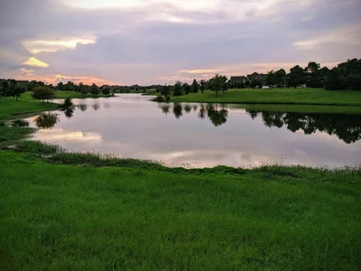 Cypress - Photo 2