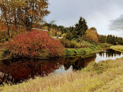 Woodinville - Photo 3