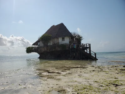 Mnemba - Photo 2