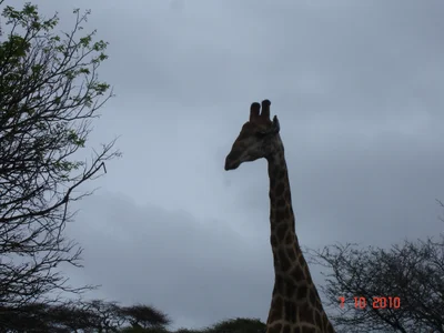 Mkuze - Photo 3