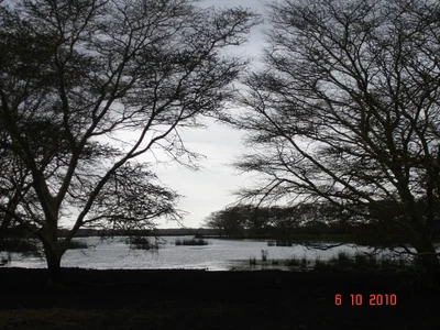 Mkuze - Photo 5