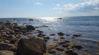 Westport - Photo 2