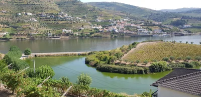 Peso Da Regua - Photo 5