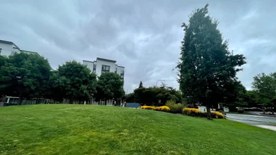 Redmond - Photo 3
