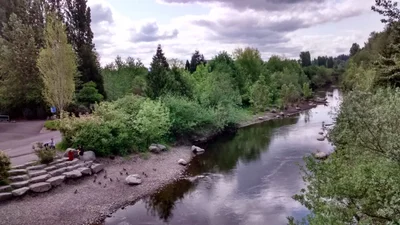 Redmond - Photo 4