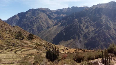 Pinchollo - Photo 5