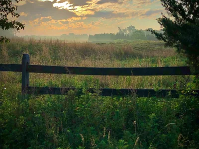 Colts Neck Township - Photo 3