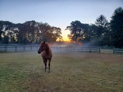 Colts Neck Township - Photo 5