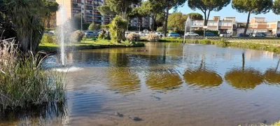 Frascati - Photo 3