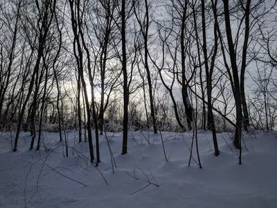 New Buffalo Township - Photo 2