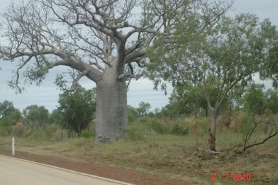Fitzroy Crossing - Photo 4