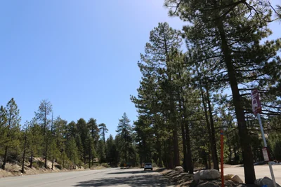 Running Springs - Photo 2