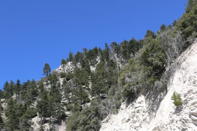 Running Springs - Photo 4