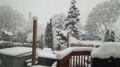 Woodridge - Photo 2