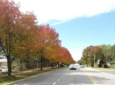 Woodridge - Photo 4