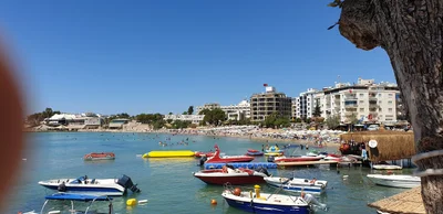 Didim - Photo 5