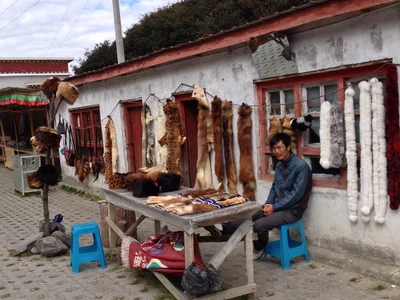 Gongbo'gyamda County - Photo 4