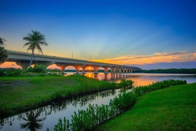 Palm City - Photo 3