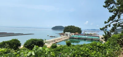 Haenam-gun - Photo 2