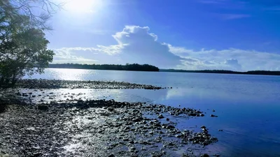 Johns River - Photo 4