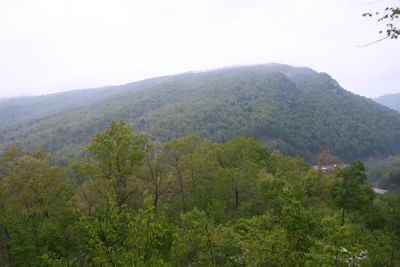 Pineville - Photo 3