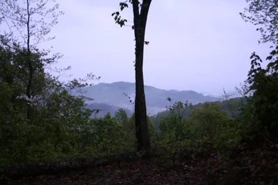 Pineville - Photo 4