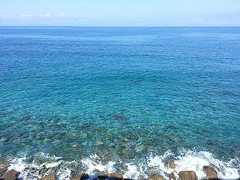 Akune - Photo 4