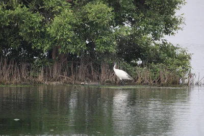 Muttukadu - Photo 2