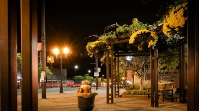 Wyandotte - Photo 5