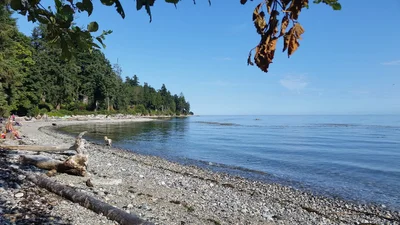 Area D (Roberts Creek) - Photo 3
