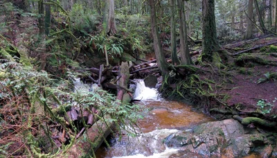 Area D (Roberts Creek) - Photo 4