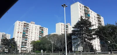Tapiales - Photo 2