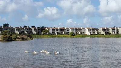 Foster City - Photo 5